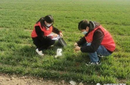 「我为群众办实事」藁城区农业技术推广中心志愿服务队:田边问诊 科技