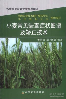 小麦常见缺素症状图谱及矫正技术(作物常见缺素症状系列图谱)